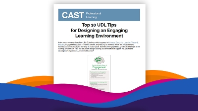 Screenshot of the UDL Tips for Designing an Engaging Learning Environment PDF