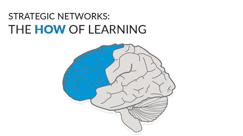 Illustration of the brain with the strategic networks (the HOW of learning) at the front of the brain highlighted in blue
