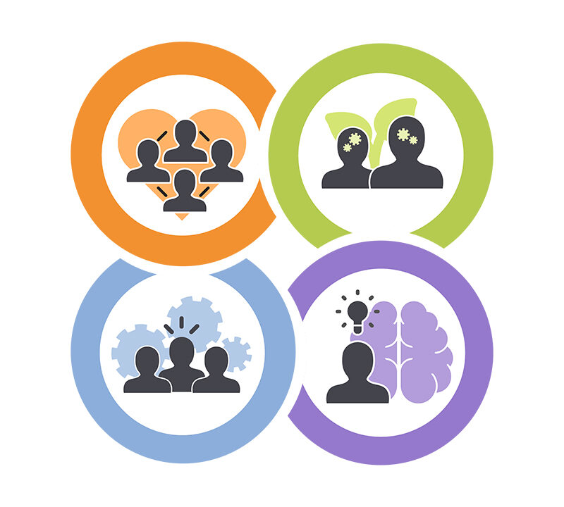 Four overlapping icons representing the four UDL-SICC domains: School Culture and Environment, Teaching and Learning, Leadership and Management, and Professional Learning.