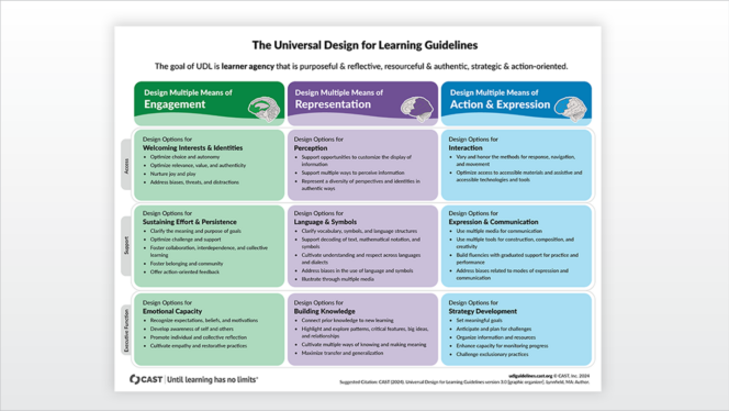 UDL Guidelines 3.0 Laminated Organizer
