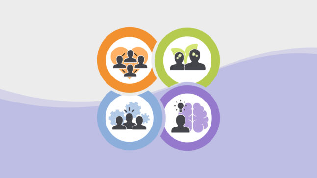 The SIC represented as a grouping of 4 domains